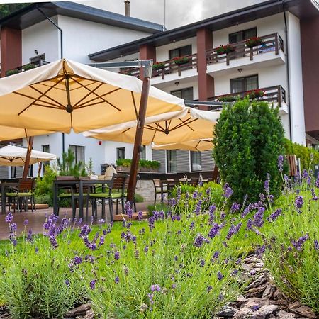 Piatra Pinului Ski & Spa Gura Humorului Eksteriør bilde
